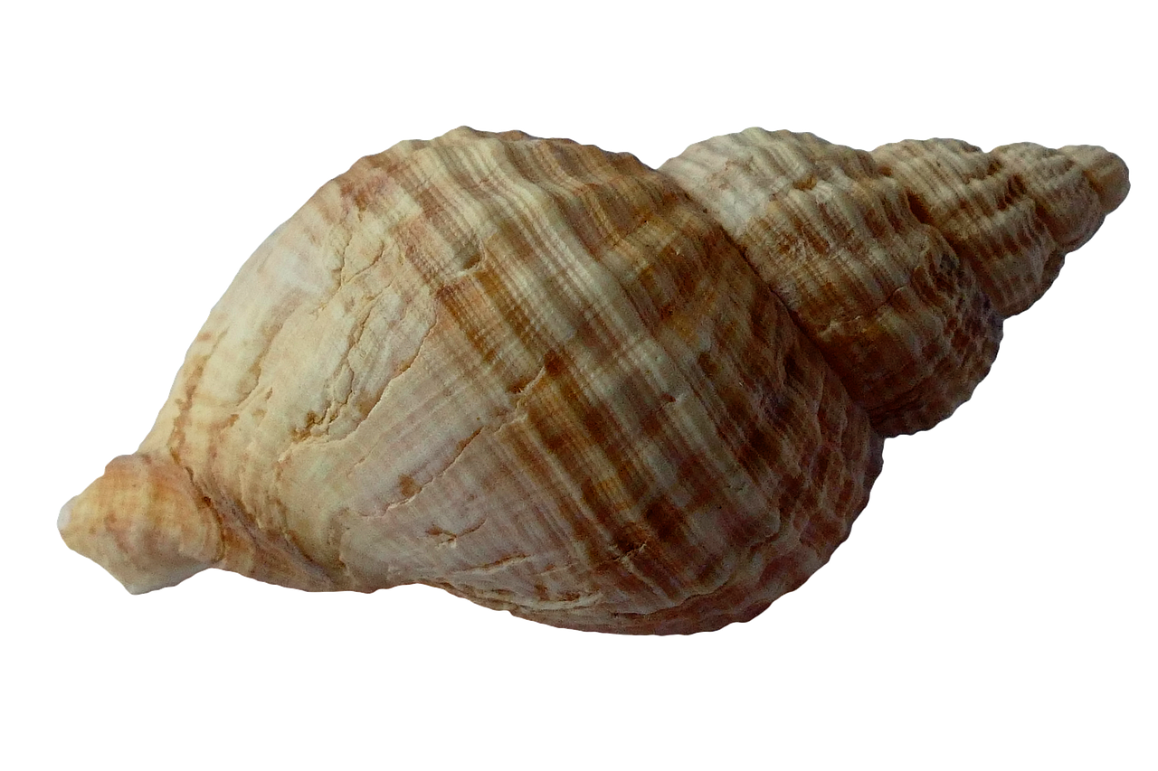 Zonlicht valt op maritieme slaapkamer met anker. Zonlicht valt op maritieme slaapkamer met anker.