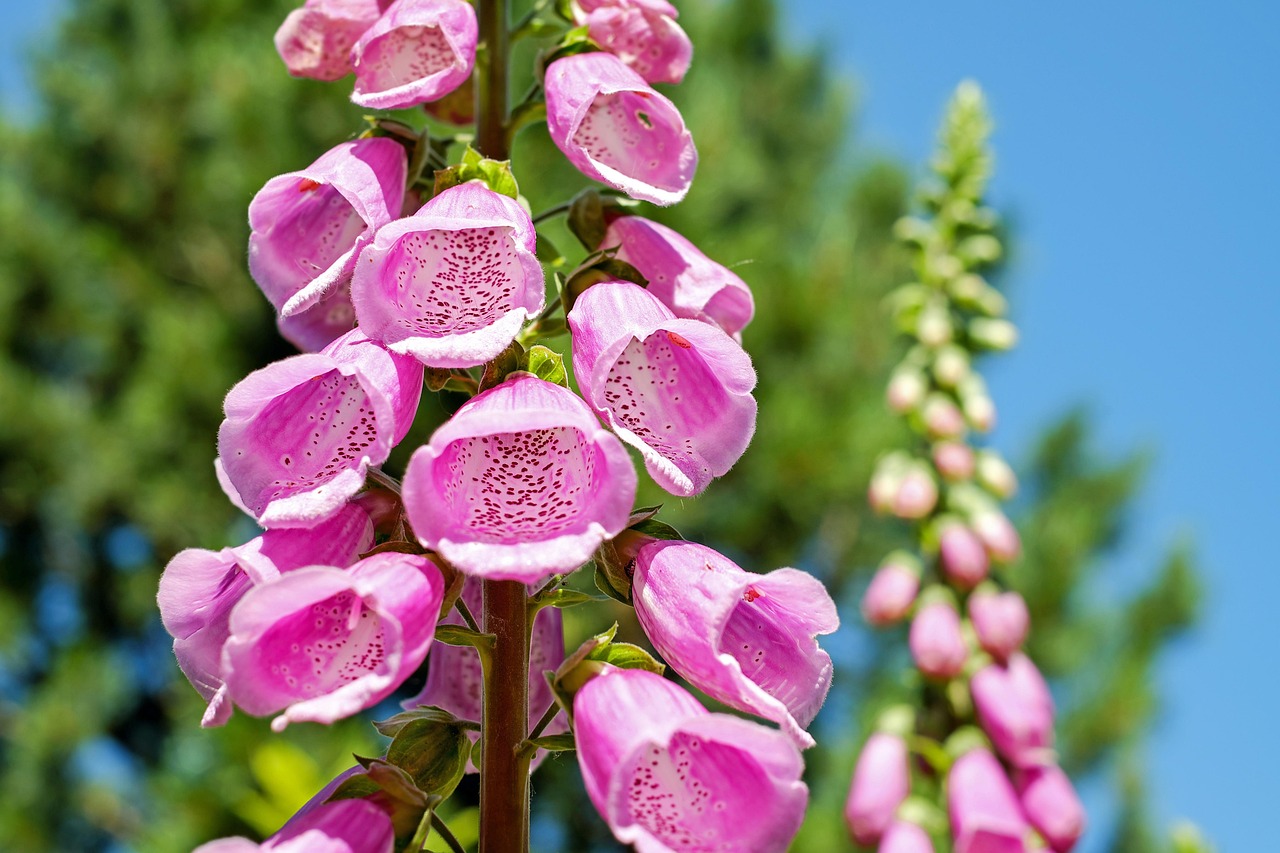 Verticaal tuinsysteem met kruiden in de keuken. Verticaal tuinsysteem met kruiden in de keuken.