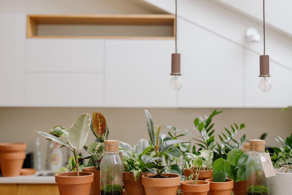 Verticale tuin geïntegreerd in keukenruimte Verticale tuin geïntegreerd in keukenruimte