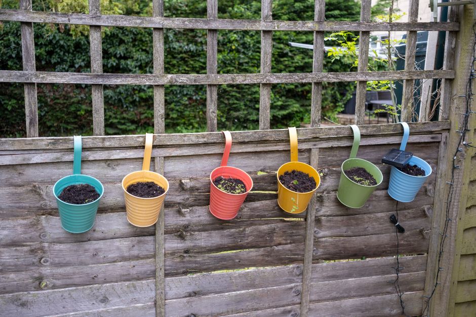 Regentonnen in duurzame tuin voor waterbesparing