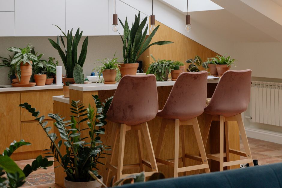 Groene varens naast wit houten bureau.