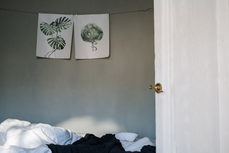 Retro botanische print met cactussen en varens. Retro botanische print met cactussen en varens.