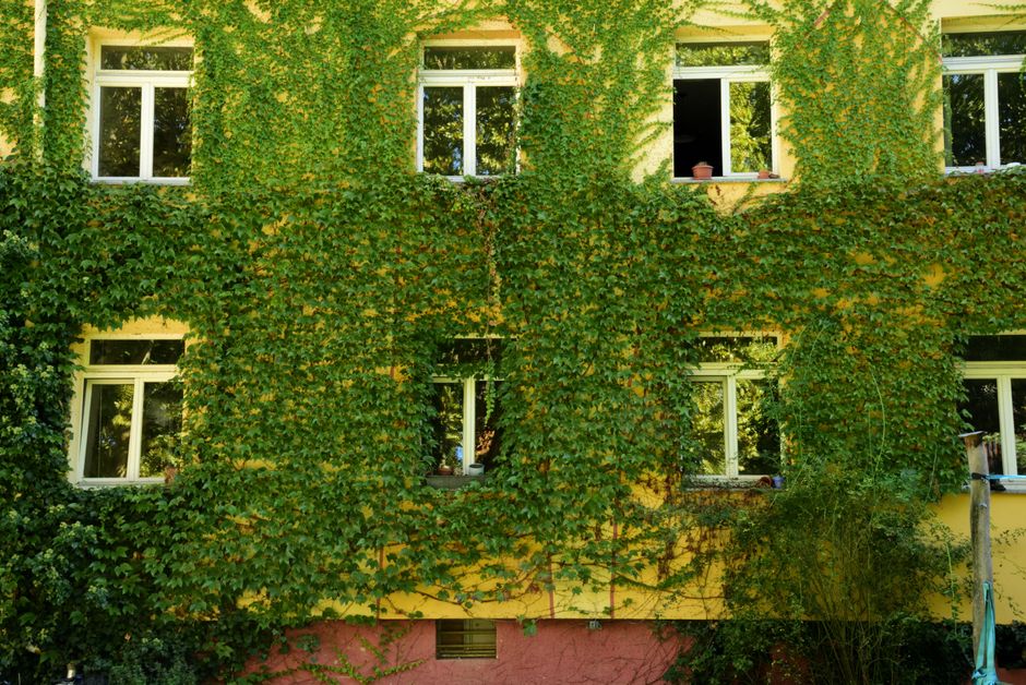 Verticaal tuinplantenrek voor compacte appartementen. Verticaal tuinplantenrek voor compacte appartementen.